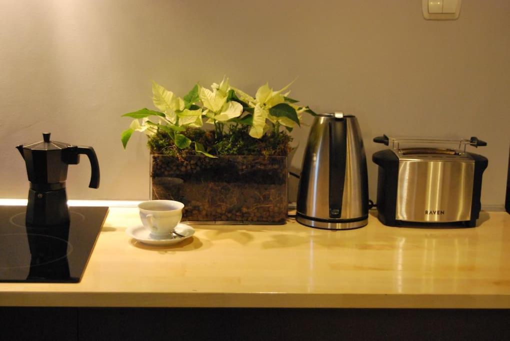 Spacious Apartment In Green District. فروتسواف المظهر الخارجي الصورة
