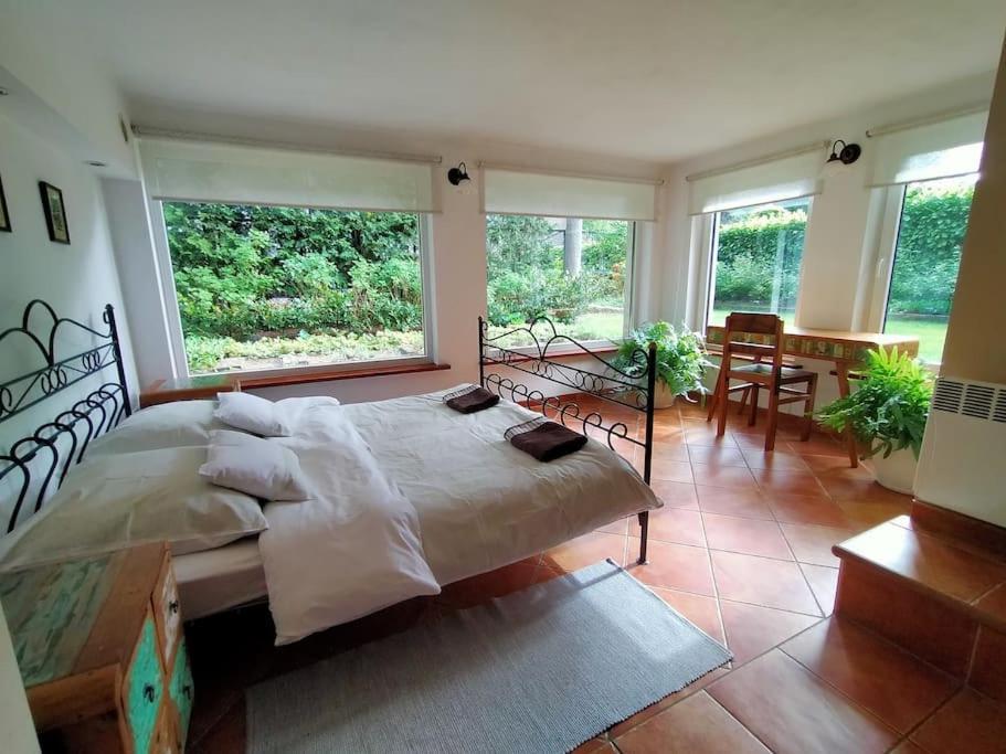 Spacious Apartment In Green District. فروتسواف المظهر الخارجي الصورة